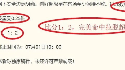 开云官网 103653 08